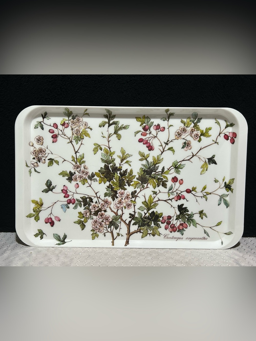 Villeroy & Boch Botanica Large Melamine Sandwich Tray Platter Made In Italy